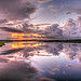 The Art of Nature