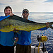 1st Mahi