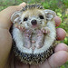 Here he is again... The Cute Smile