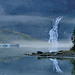 across the lake