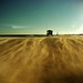 Hut in sandy wind
