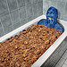 C is for Cookie, That Good Enough For Me! - 45/52