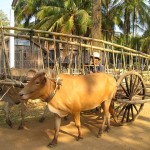 Time in Cambodia