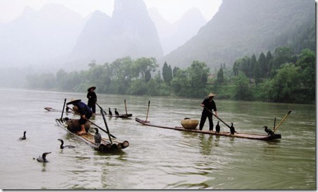 wildchina460