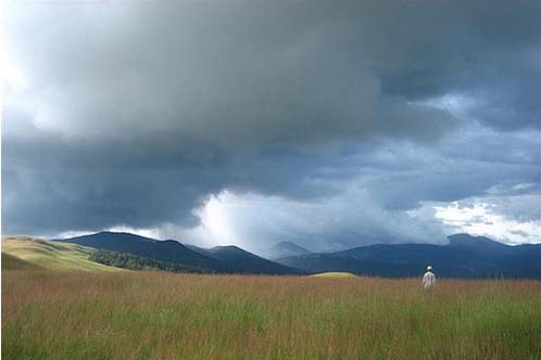 Virachey - National Park