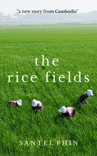 The Rice Fields