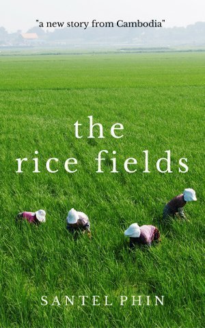 The Rice Field